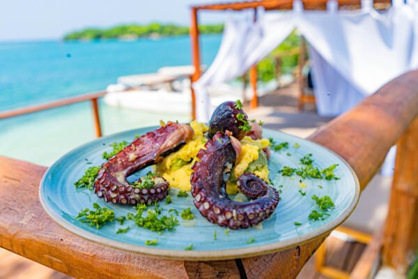 Ibbiza Beach Club Island - Image 5